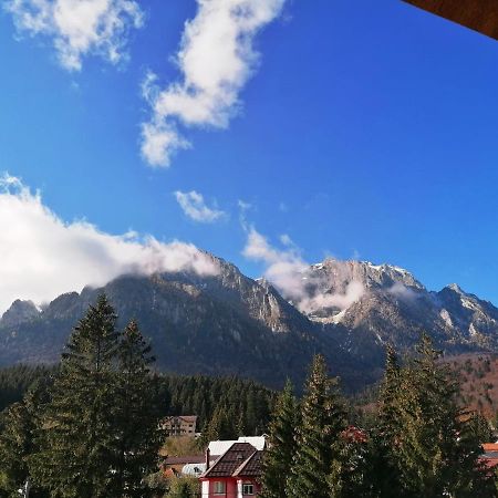 Casa Magica Buşteni エクステリア 写真